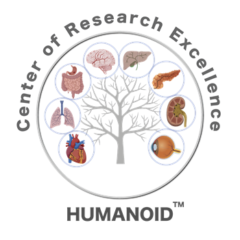HUMANOID Logo