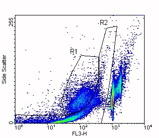 DNA Content vs side scatter Dot Plot