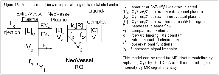 Figure 18: A kinetic model for receptor-binding optically0labeled probe.