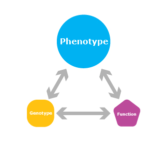 lab logo with phenotype circle enlarged