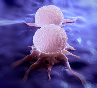 two cancer cells