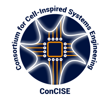 ConCISE Logo