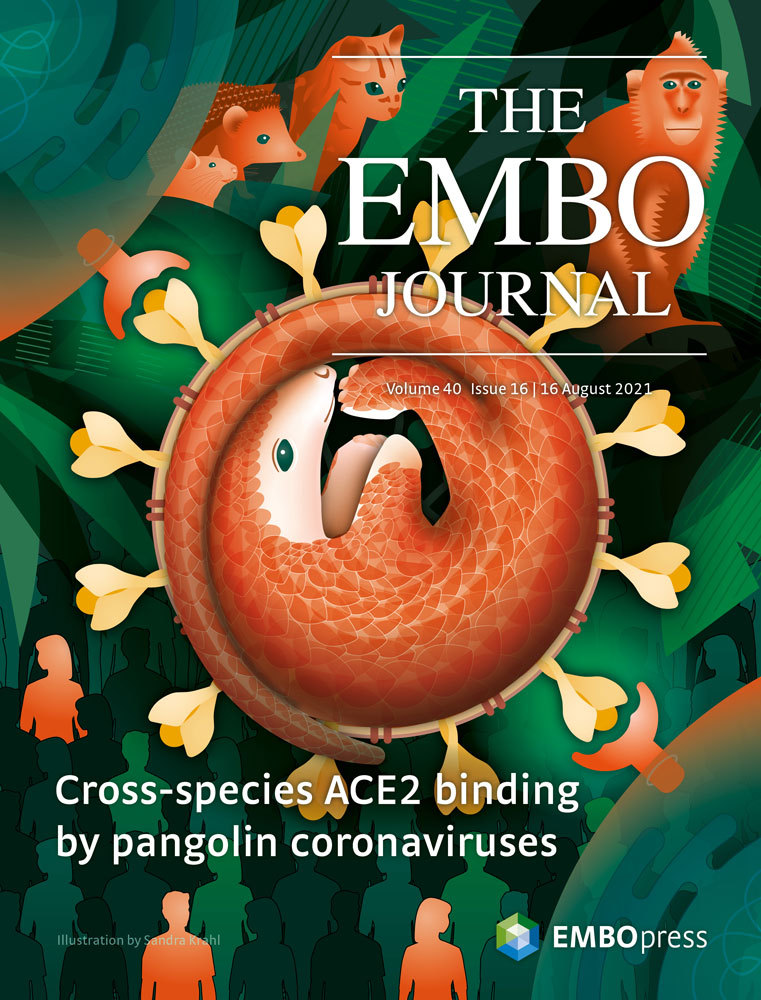 EMBO Journal 